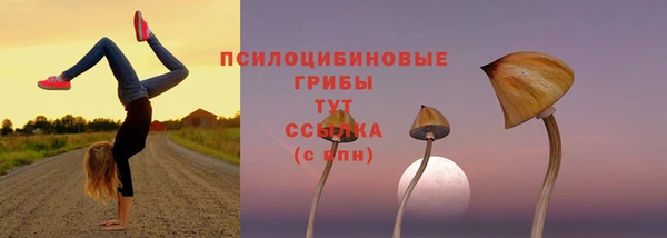 мефедрон Зеленодольск