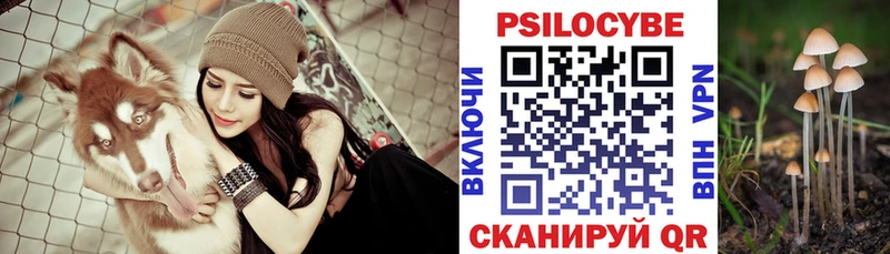 Псилоцибиновые грибы Psilocybe  Камень-на-Оби 