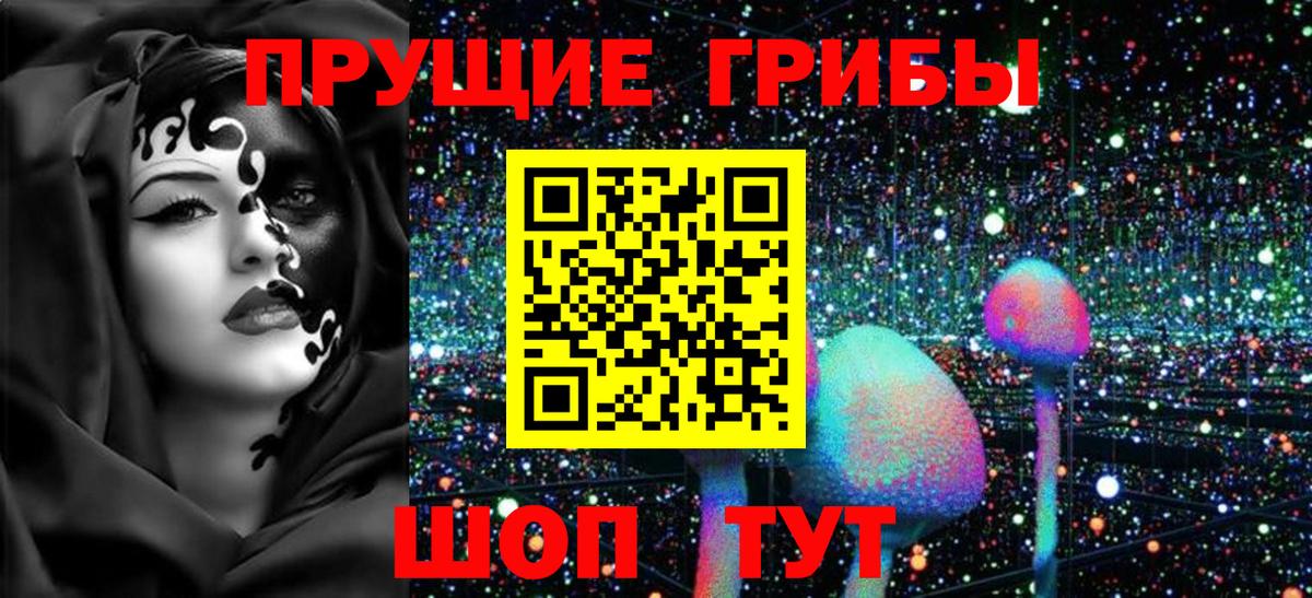 Псилоцибиновые грибы ЛСД Камень-на-Оби